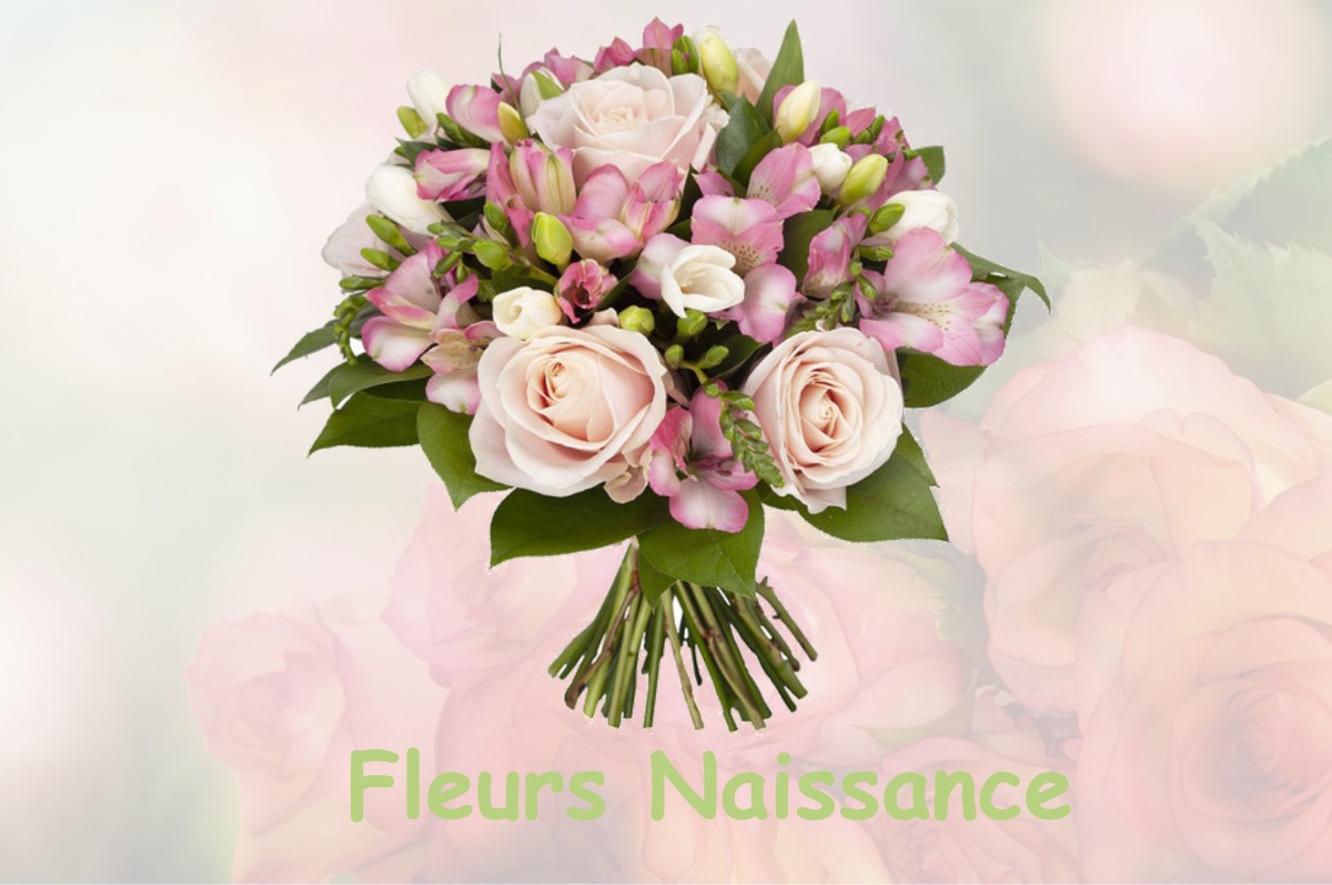 fleurs naissance MOULINS-SAINT-HUBERT