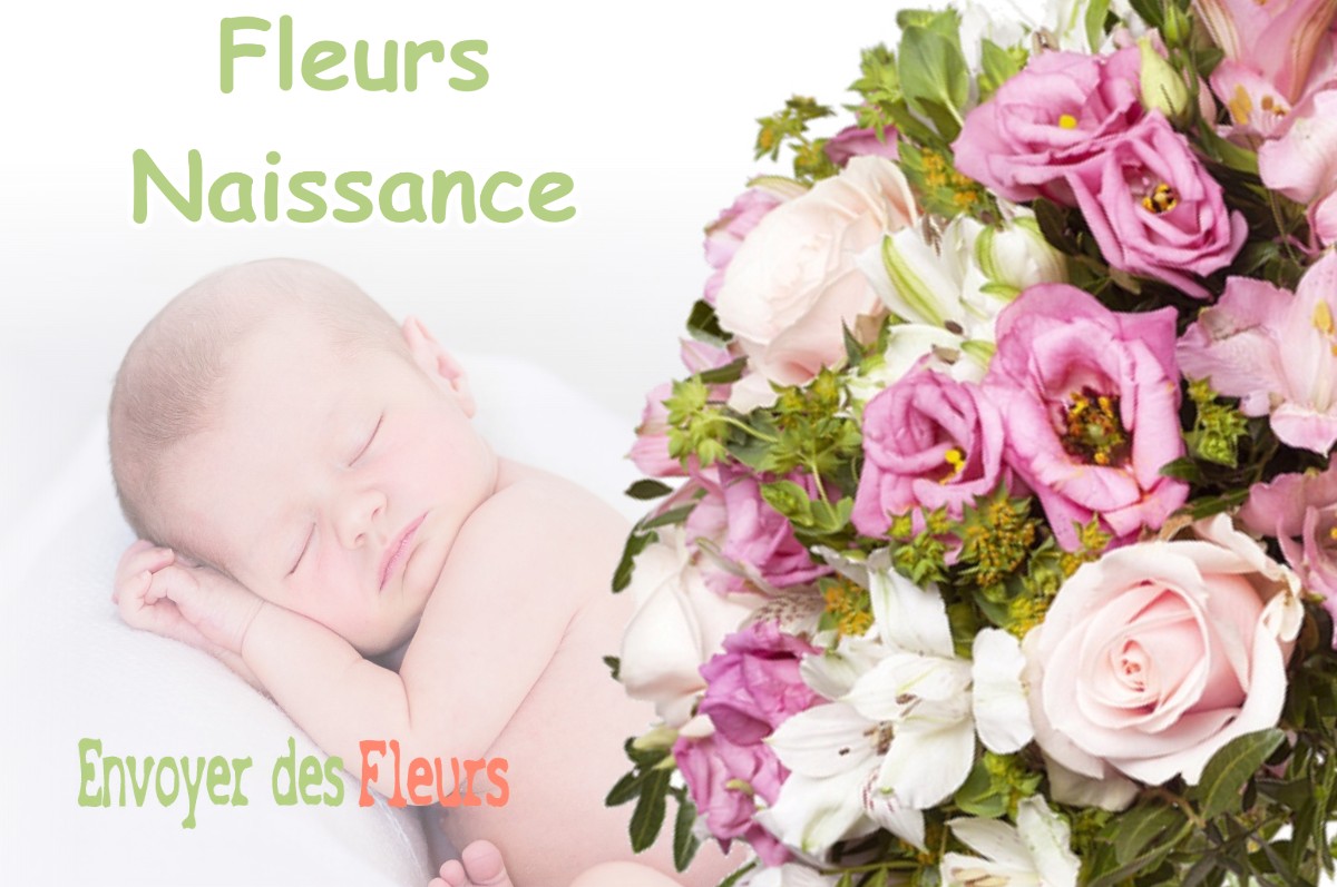 lIVRAISON FLEURS NAISSANCE à MOULINS-SAINT-HUBERT